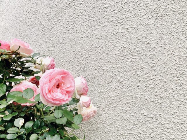 モルタル外壁の隠れた「致命傷」：サッシ廻りの隙間と適切なメンテナンス